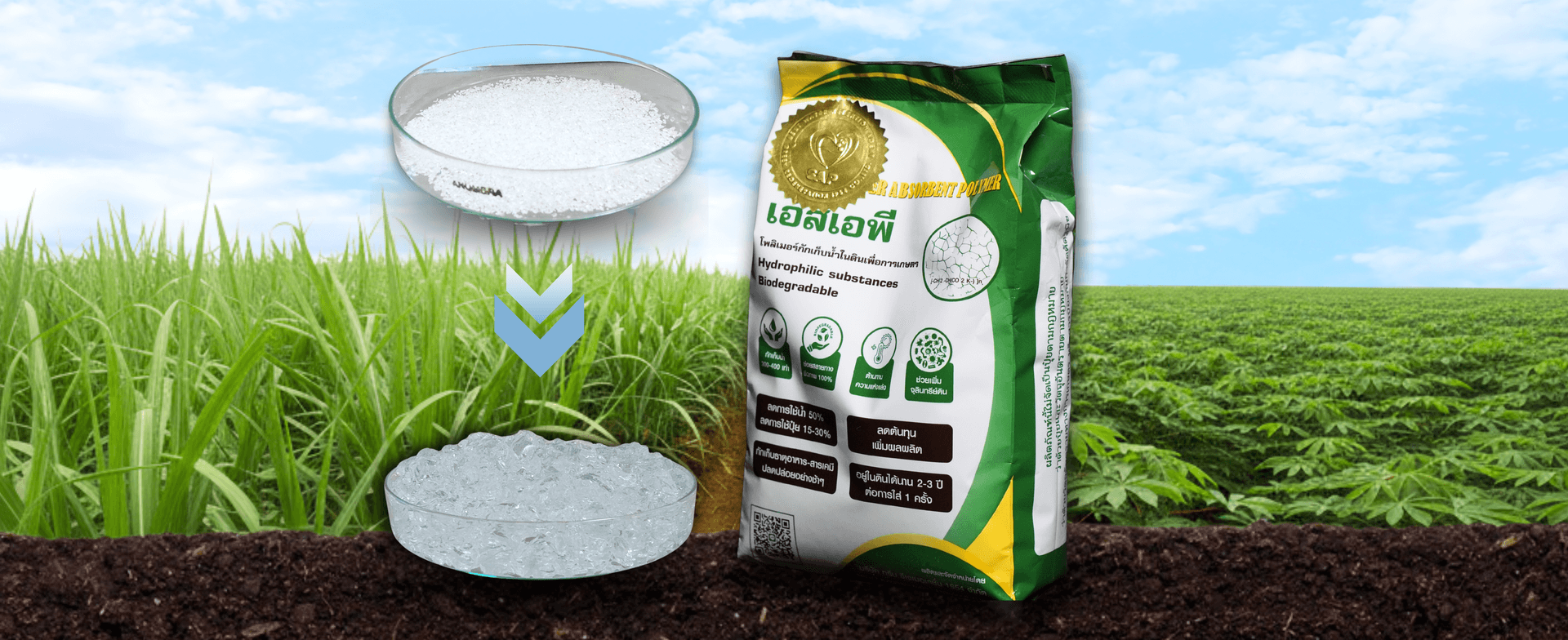 SAP polymer applied in the field